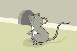 属鼠人老鼠和什么生肖最不配，属鼠人婚姻解析